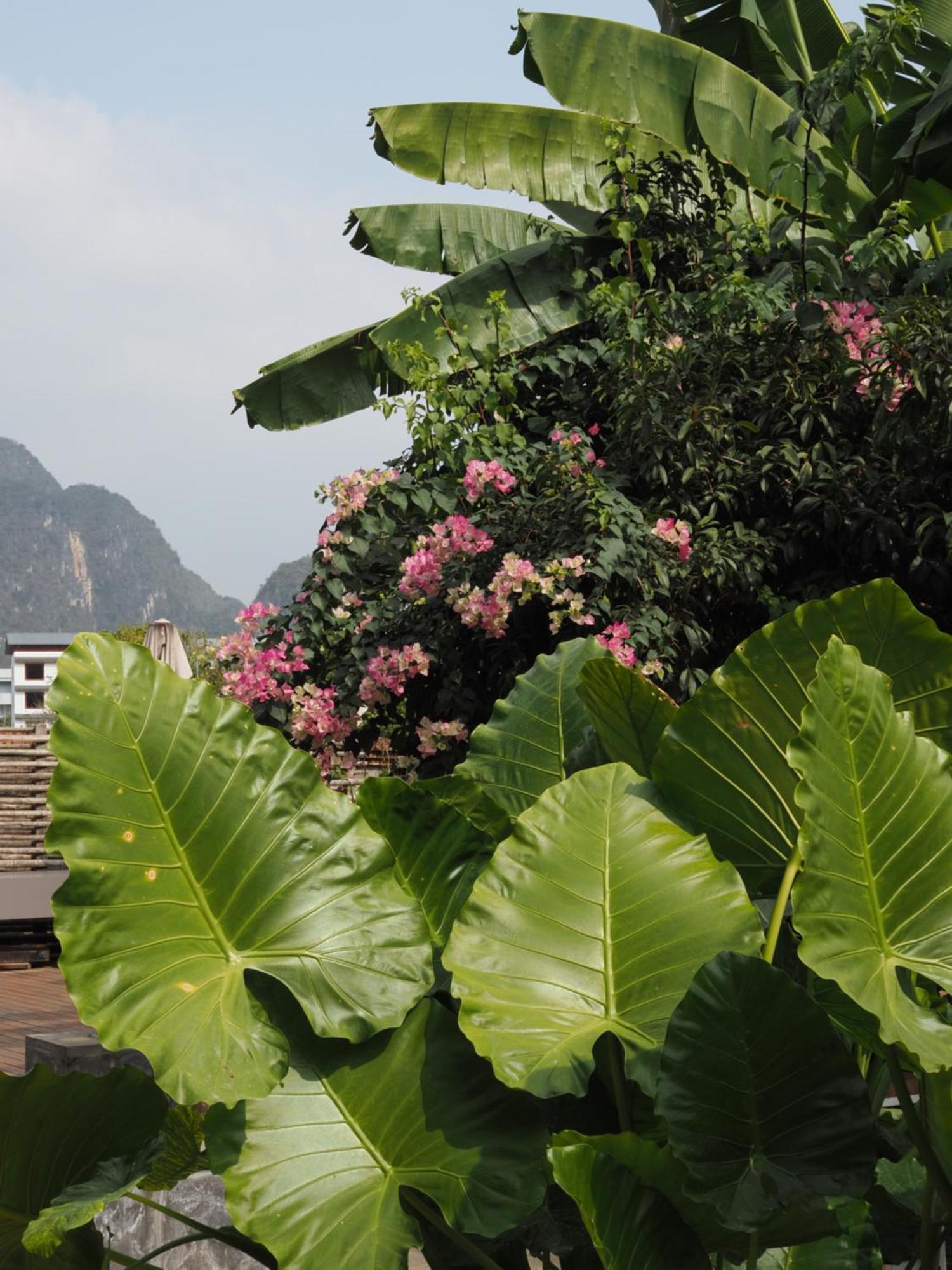 Yangshuo Hillside Homestay Exterior photo